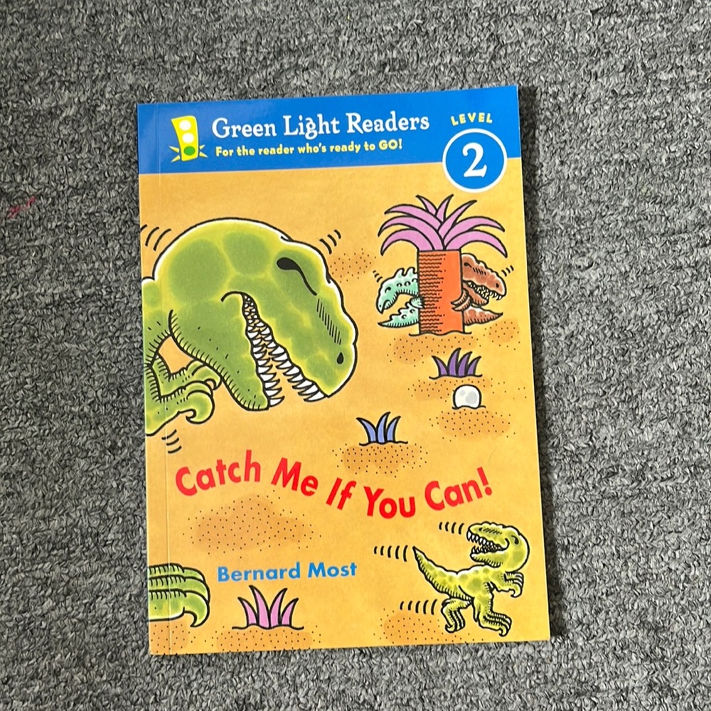 Catch me if you can! Book